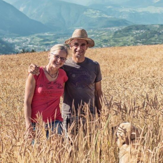 Impressionen vom Frötscherhof Mellaun im Sommer