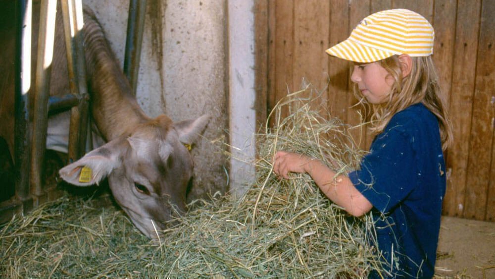 Frötscherhof Mellaun - Langeweile kennt keiner bei unserem Erlebnisbauernhof