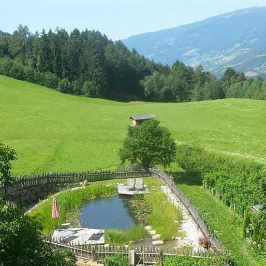 Impressionen vom Frötscherhof Mellaun im Sommer