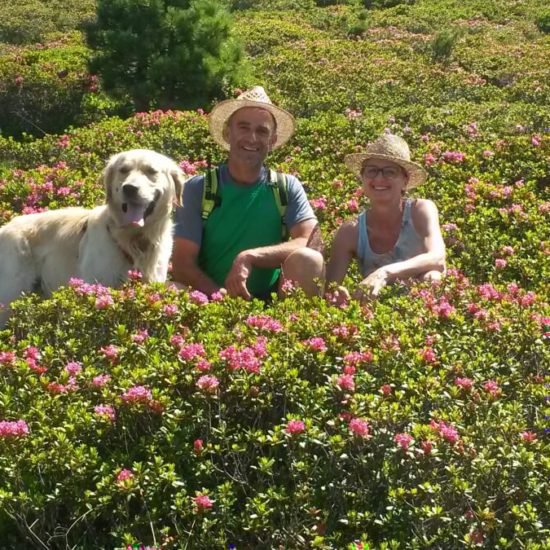 Impressionen vom Frötscherhof Mellaun im Sommer