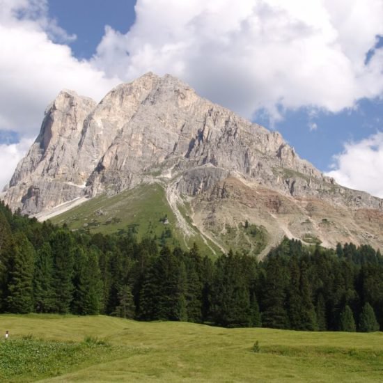 Impressionen vom Frötscherhof Mellaun im Sommer