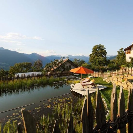 Impressionen vom Frötscherhof Mellaun im Sommer