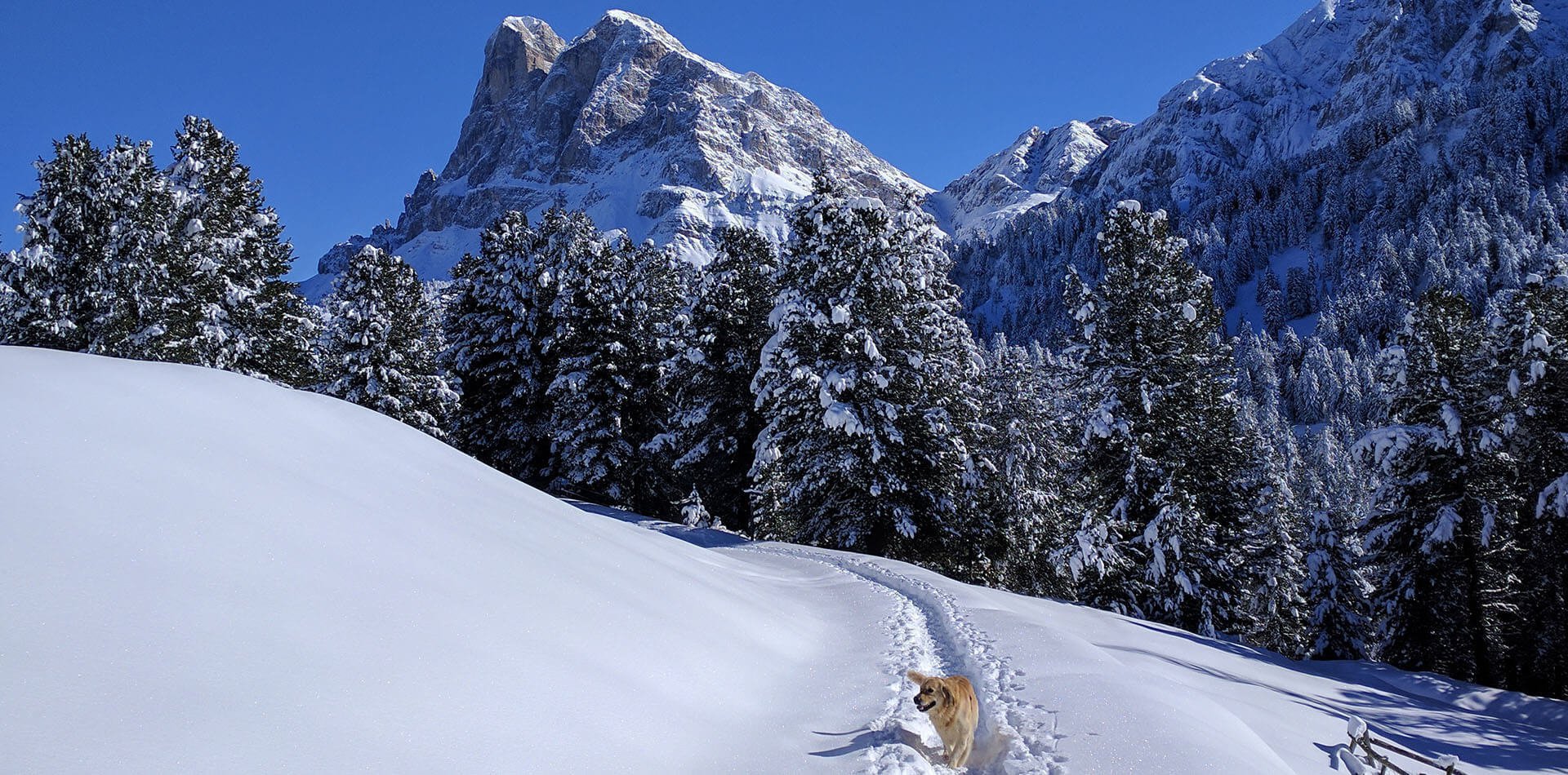 Frötscherhof Ski- und Winterferien | Winterurlaub in Mellaun/Eisacktal