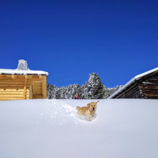 Impressionen vom Frötscherhof Mellaun im Winter