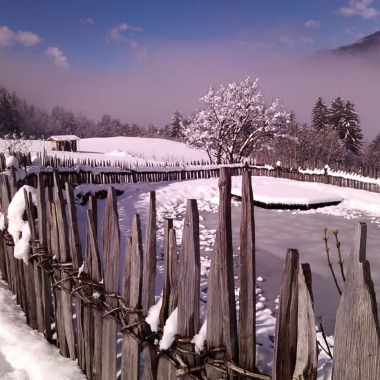 Impressionen vom Frötscherhof Mellaun im Winter