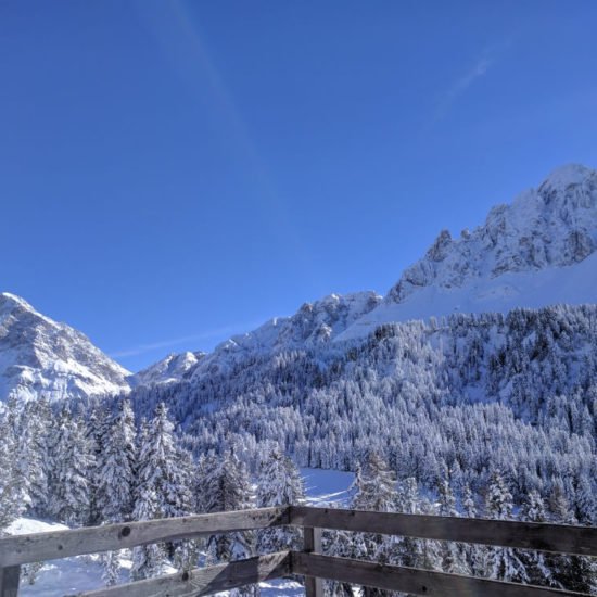 Impressionen vom Frötscherhof Mellaun im Winter