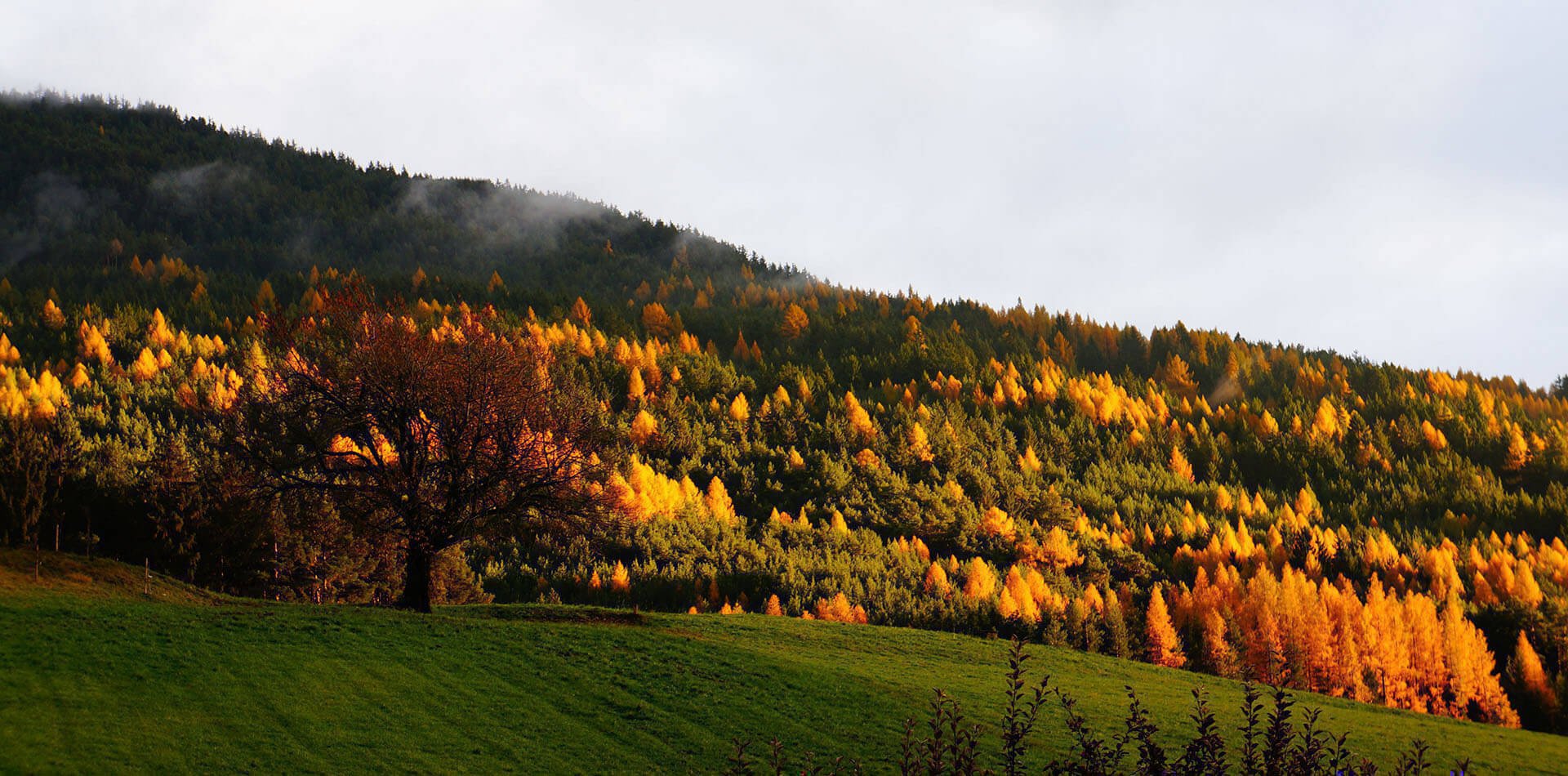 Herbsturlaub in Brixen/Südtirol | Törggelen im Eisacktal