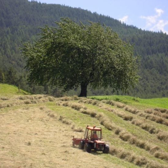 Impressionen Brixner Bauernhöfe - Bauernhofurlaub und Ferienwohnungen Südtirol