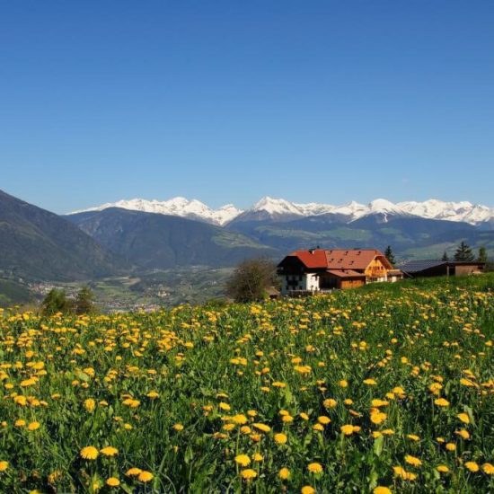 Impressions of the farms in Bressanone - Farm holidays and apartments in South Tyrol 24