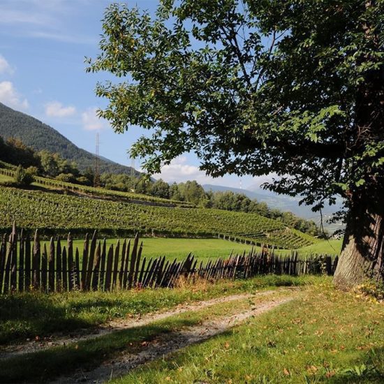 Impressions of the farms in Bressanone - Farm holidays and apartments in South Tyrol 29