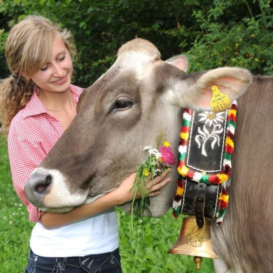 Impressionen Brixner Bauernhöfe - Bauernhofurlaub und Ferienwohnungen Südtirol