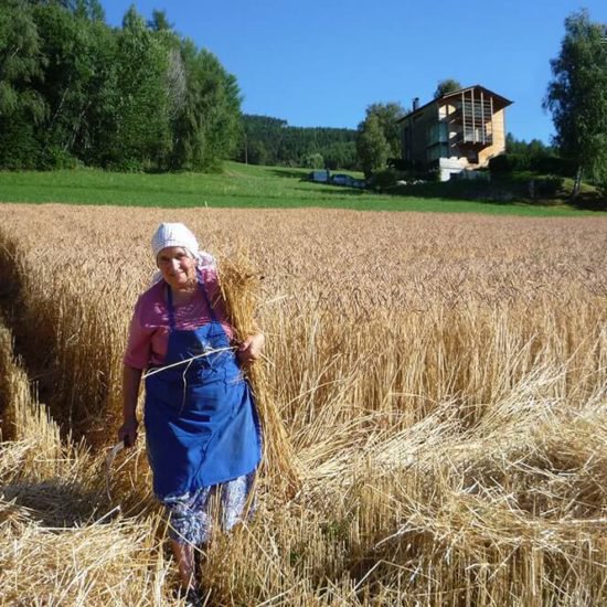 Impressionen Brixner Bauernhöfe - Bauernhofurlaub und Ferienwohnungen Südtirol