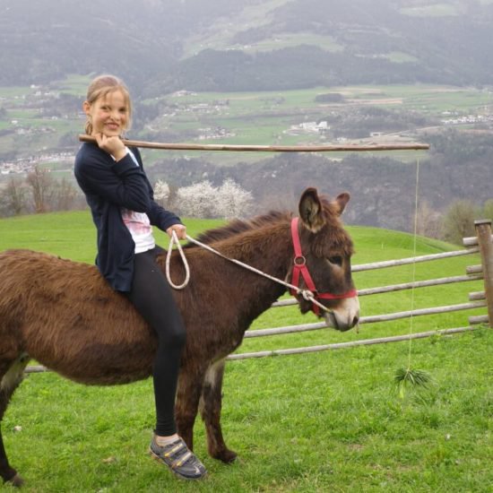 Impressionen Brixner Bauernhöfe - Bauernhofurlaub und Ferienwohnungen Südtirol