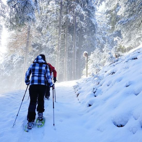 Impressionen Brixner Bauernhöfe - Bauernhofurlaub und Ferienwohnungen Südtirol