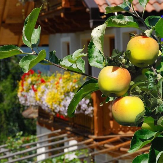 Impressionen Brixner Bauernhöfe - Bauernhofurlaub und Ferienwohnungen Südtirol