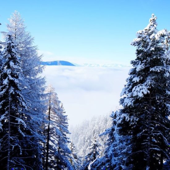 Impressionen vom Staudacherhof in Brixen/Südtirol