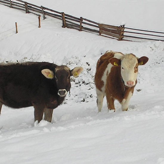 staudacherhof-bressanone-alto-adige-inverno-05