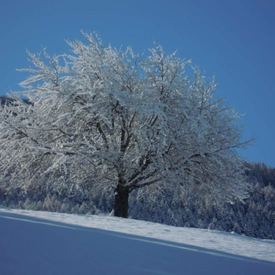 staudacherhof-bressanone-alto-adige-inverno-09