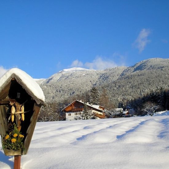 Impressionen vom Staudacherhof in Brixen/Südtirol