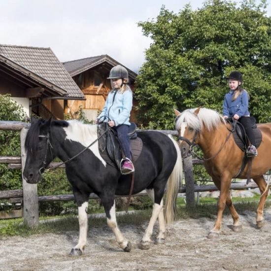 Impressionen vom Widmannhof Klerant im Sommer