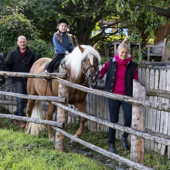 Impressionen vom Widmannhof Klerant im Sommer