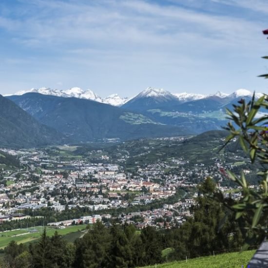 Impressionen vom Widmannhof Klerant im Sommer