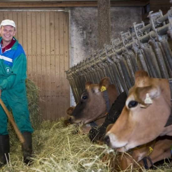 Impressionen vom Widmannhof Klerant im Sommer