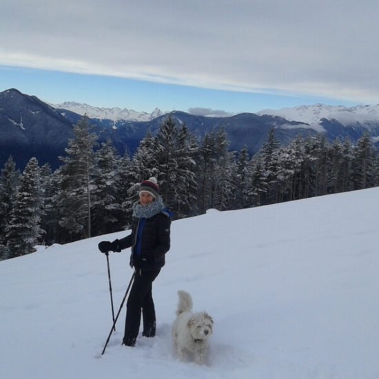 Impressionen vom Widmannhof im Winter