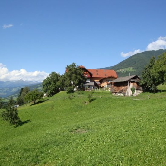 Impressionen vom Schangererhof im Sommer