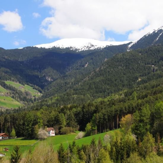 Impressionen vom Schangererhof im Sommer