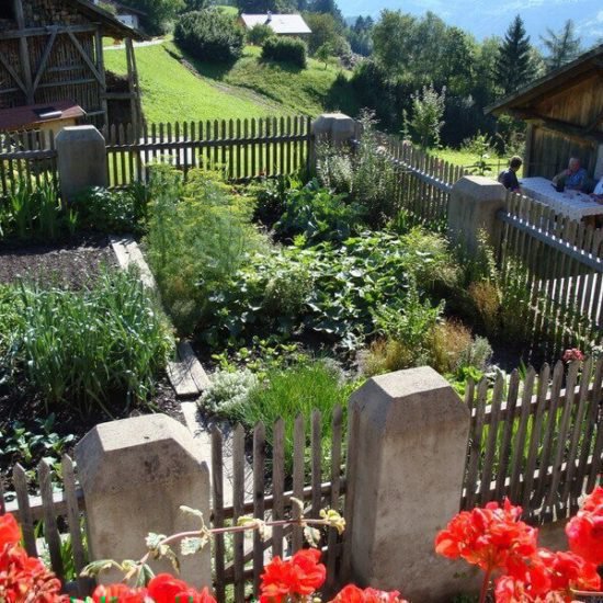 Impressionen vom Schangererhof im Sommer