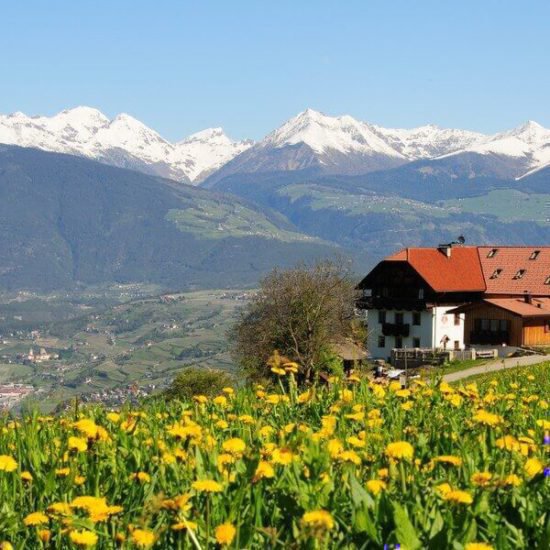 Impressionen vom Schangererhof im Sommer