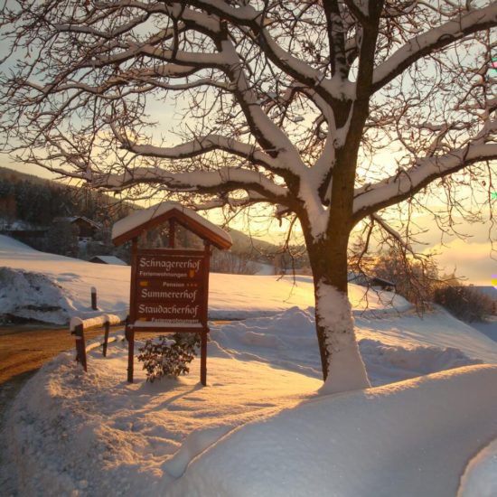 Impressionen vom Schangererhof im Winter