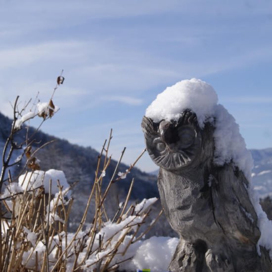 Sedlhof Klerant - Winterferien auf dem Bauernhof - Winterurlaub in den Dolomiten