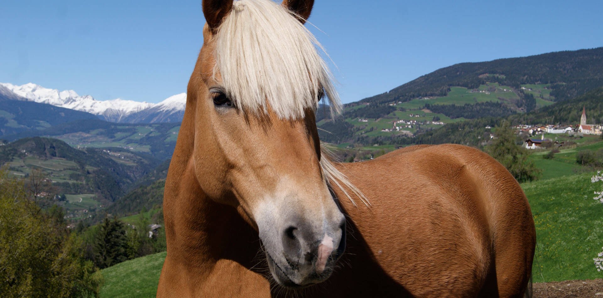 Sedlhof Klerant - Urlaub auf dem Baurnhof in Südtirol