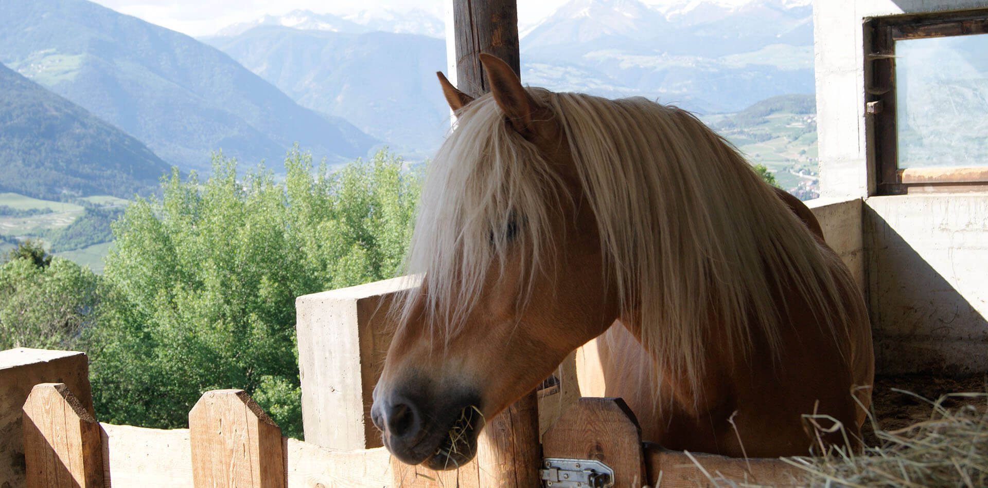 Sommerferien in den Dolomiten/Südtirol - Ferienwohnung in Brixen