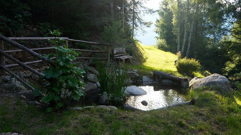 Staudacherhof - Erholsam und natürlich | Ferien im Eisacktal