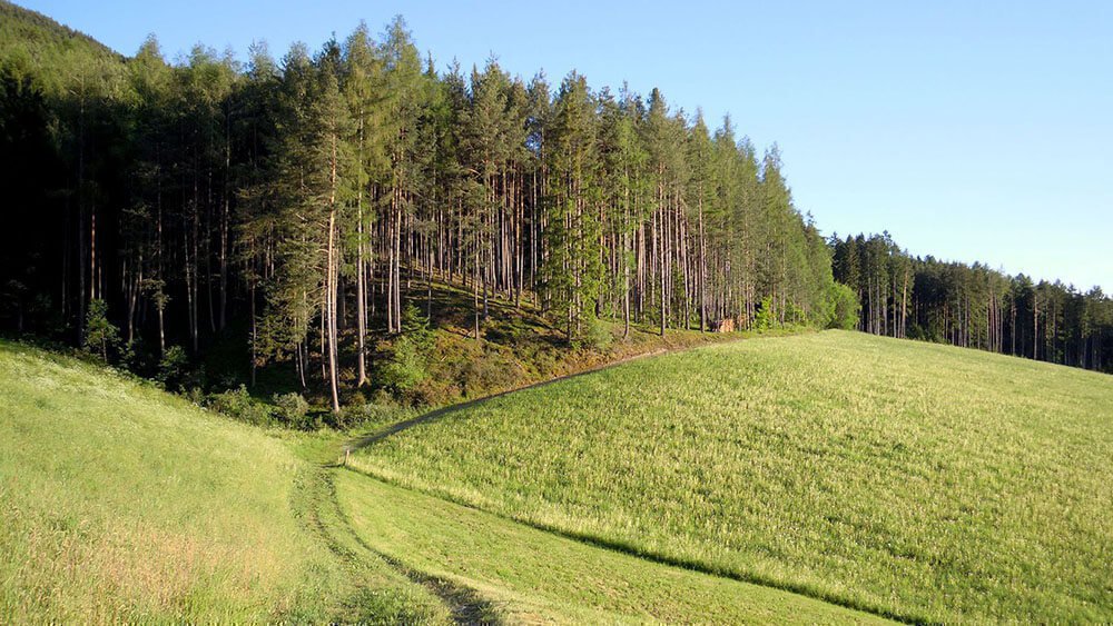 Staudacherhof - Erholsam und natürlich | Ferien im Eisacktal