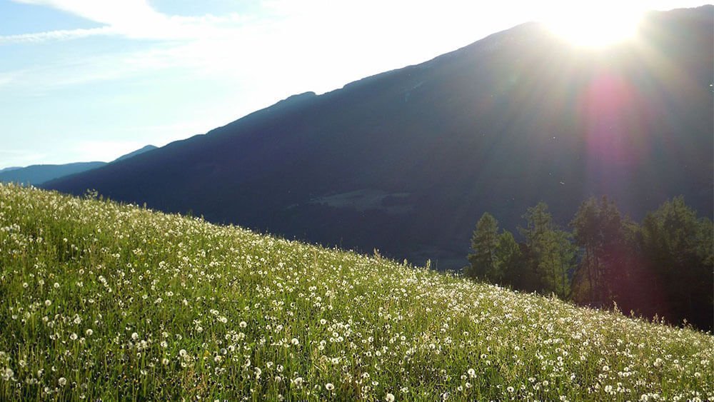 Staudacherhof - Erholsam und natürlich | Ferien im Eisacktal