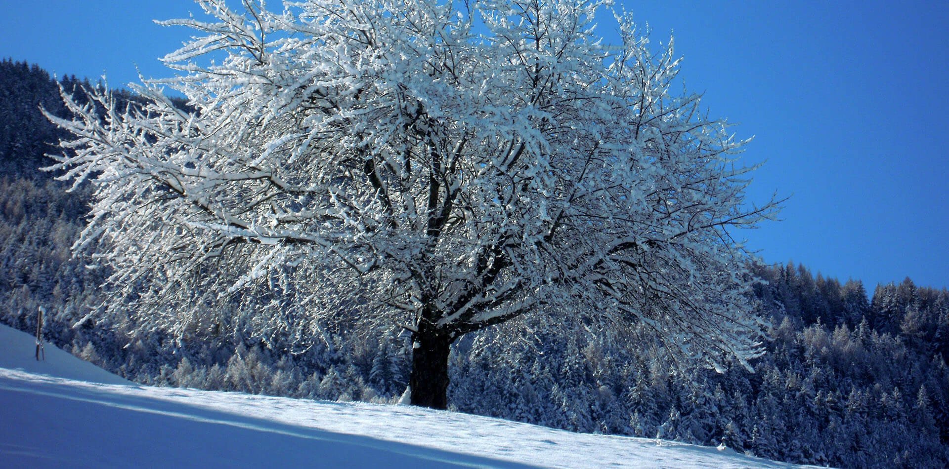 Urlaub auf dem Bauernhof Brixen | Winterurlaub am Bauernhof