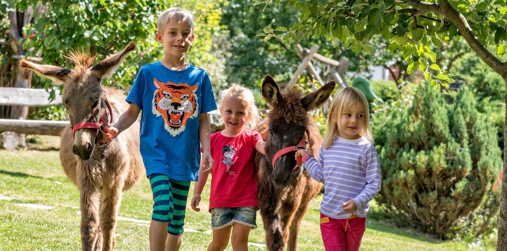 Widmannhof Klerant | Biologische Landwirtschaft 