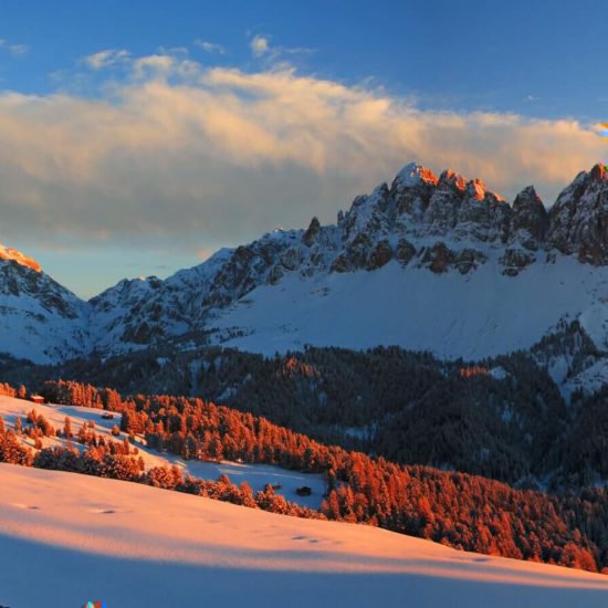 Impressionen vom Schangererhof im Winter